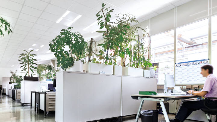 Otwarta przestrzeń biurowa w firmie Bosch w Niemczech w oświetleniu Philips