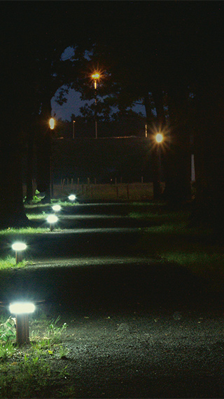 Ścieżki dla pieszych w ośrodku High Tech Campus oświetlone lampami zewnętrznymi Philips w celu zwiększenia bezpieczeństwa w nocy