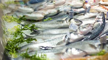 Wartości odżywcze ryb